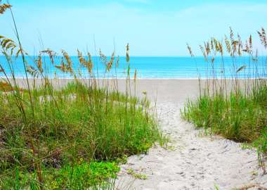 Sandy sand path through tropical sea oats down to a beautiful calm blue ocean beach on a sunny afternoon.