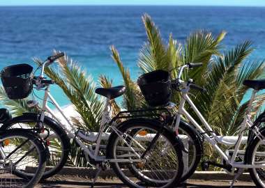 Bicycles for rent during vacation at resort town, active recreation for family